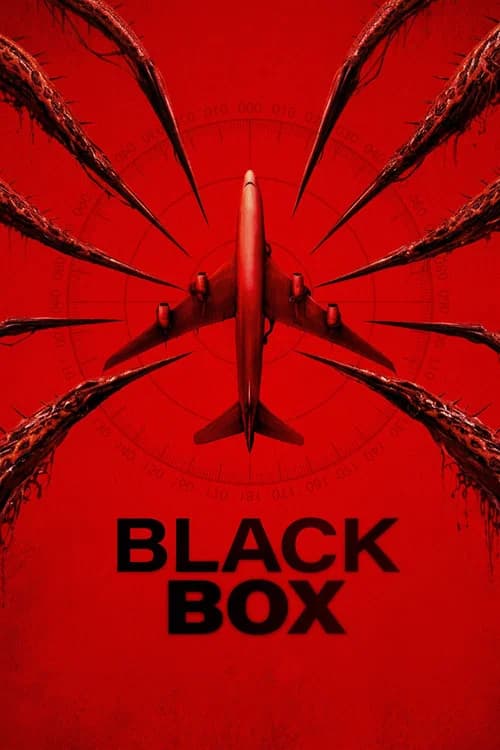 Black Box (Flight 298)